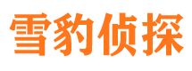 惠济市私人调查